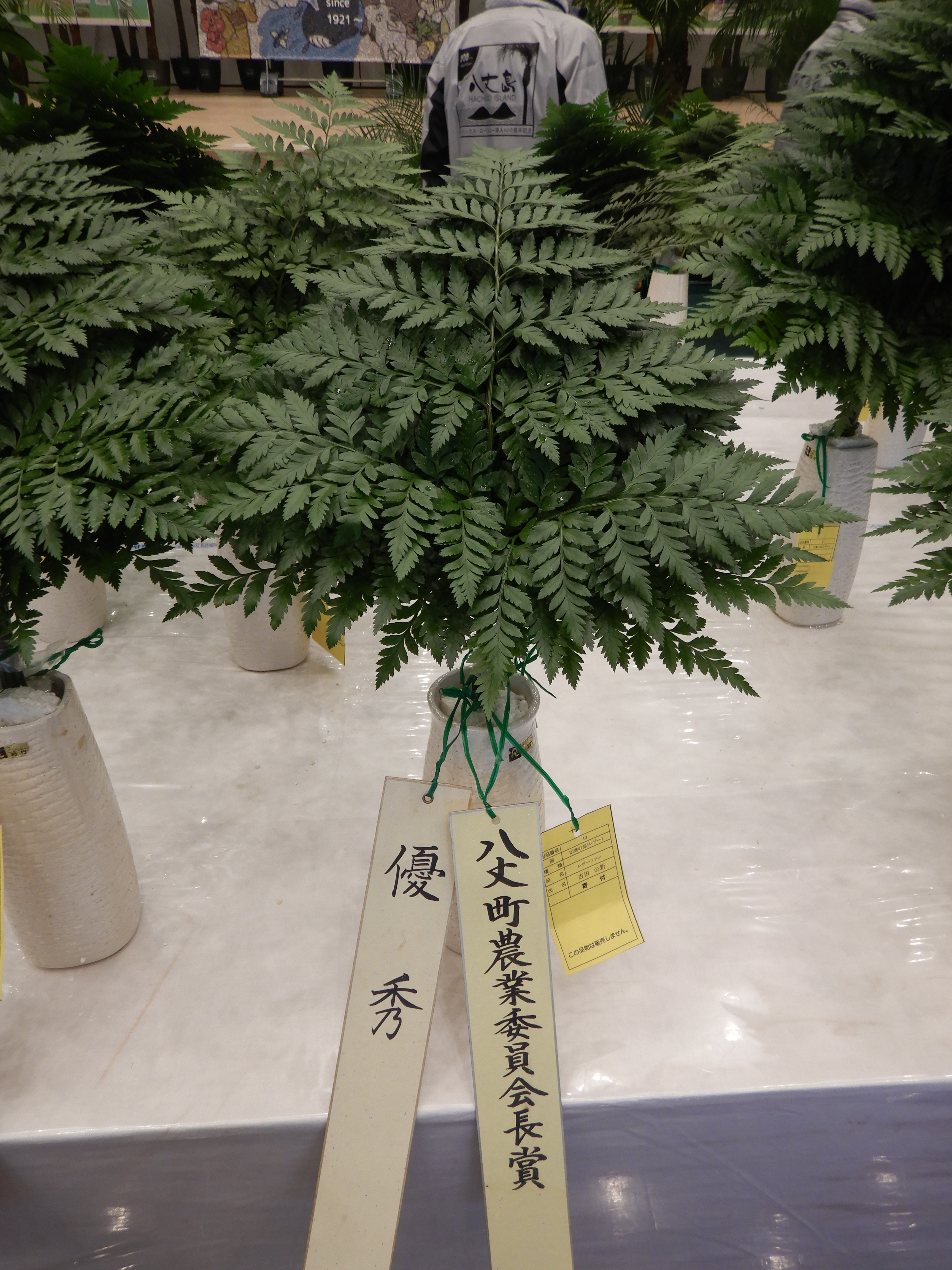 レザー写真