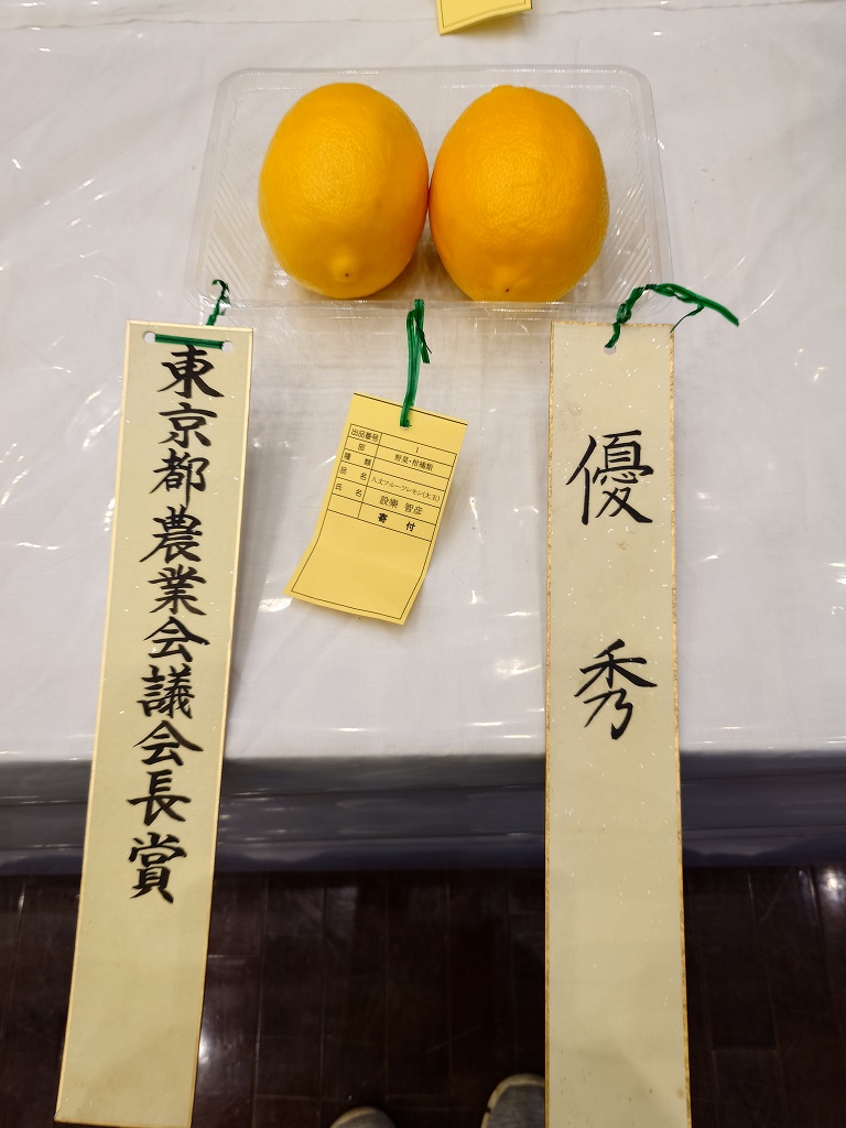 八丈フルーツレモン
