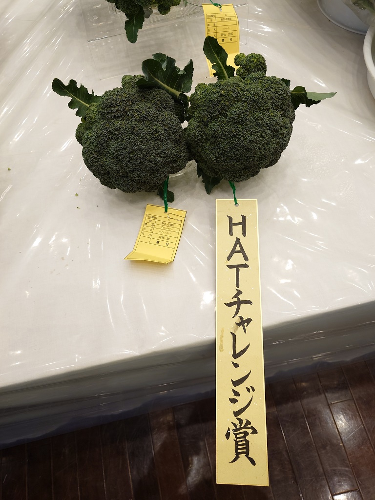 ブロッコリー