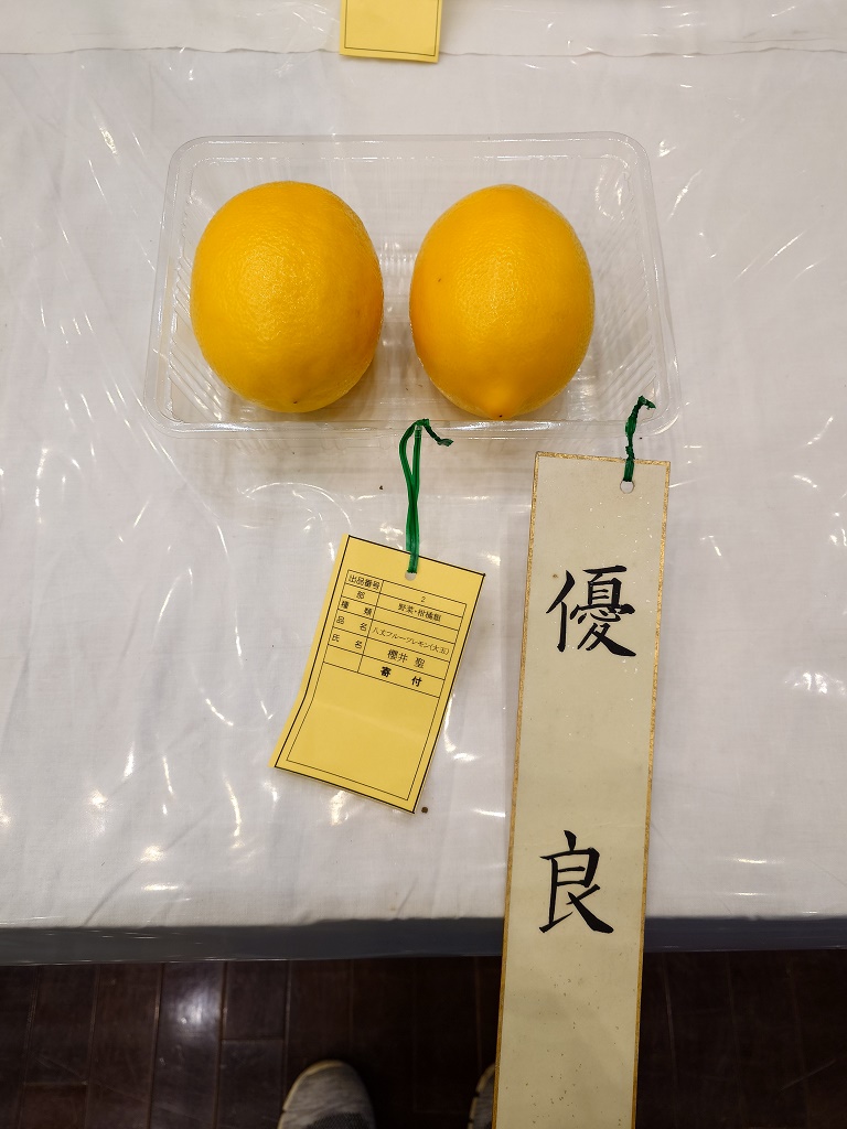 八丈フルーツレモン