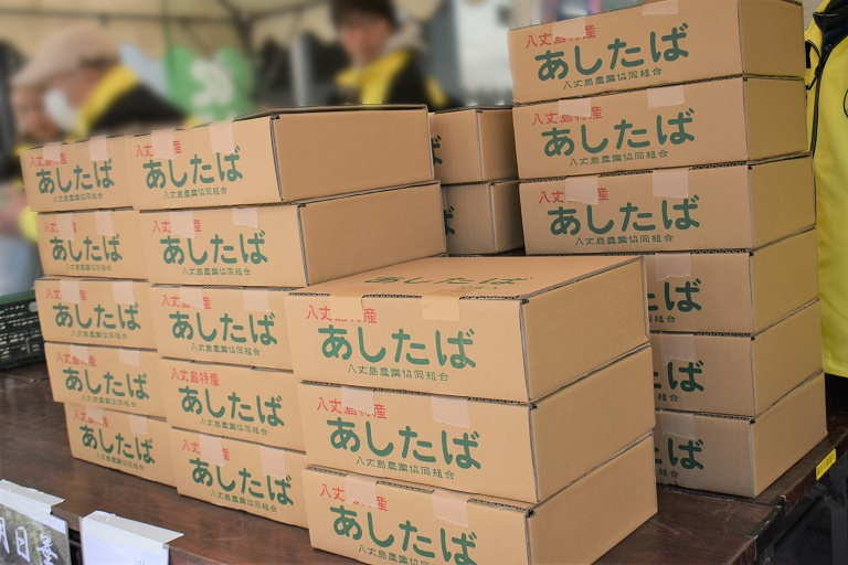 あしたば生葉
